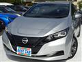 2022 Nissan Leaf