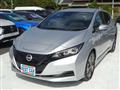 2022 Nissan Leaf