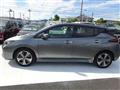 2022 Nissan Leaf
