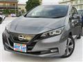 2021 Nissan Leaf