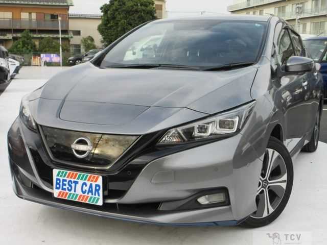 2021 Nissan Leaf
