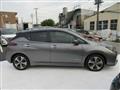 2021 Nissan Leaf