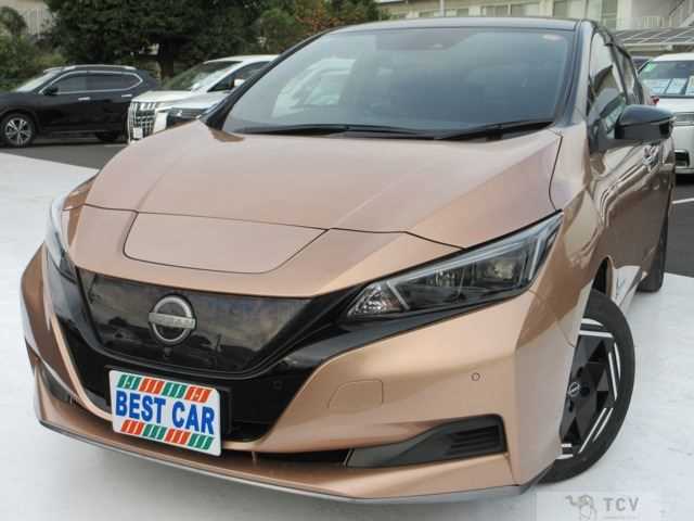 2022 Nissan Leaf