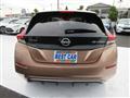 2022 Nissan Leaf