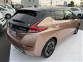 2022 Nissan Leaf