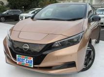 2022 Nissan Leaf