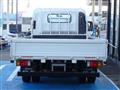 2020 Isuzu Elf Truck
