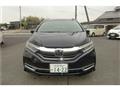 2019 Honda Honda Others