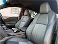 2024 Toyota Harrier