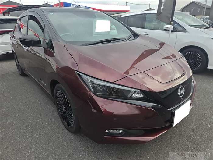 2022 Nissan Leaf