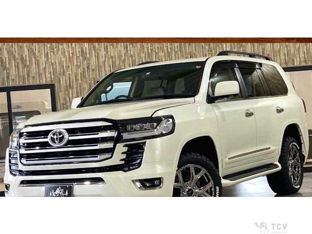 2009 Toyota Land Cruiser