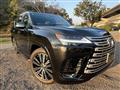 2023 Lexus LX