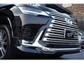 2024 Lexus LX