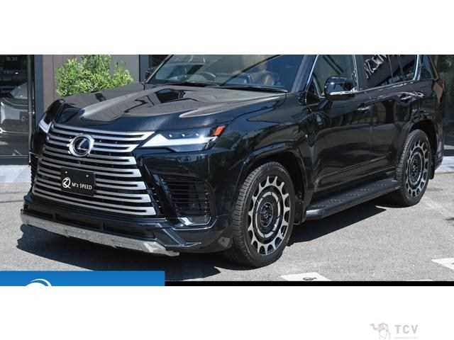 2025 Lexus LX