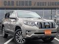 2019 Toyota Land Cruiser Prado
