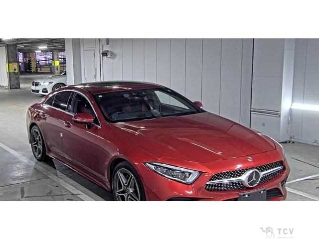 2019 Mercedes-Benz Cls-Class