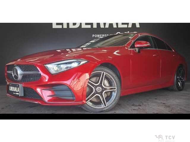 2019 Mercedes-Benz Cls-Class