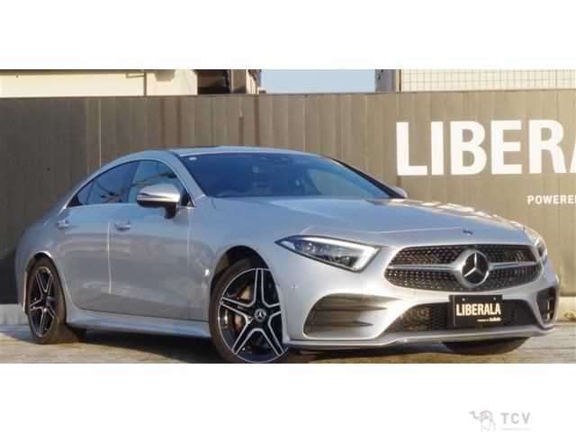 2019 Mercedes-Benz Cls-Class