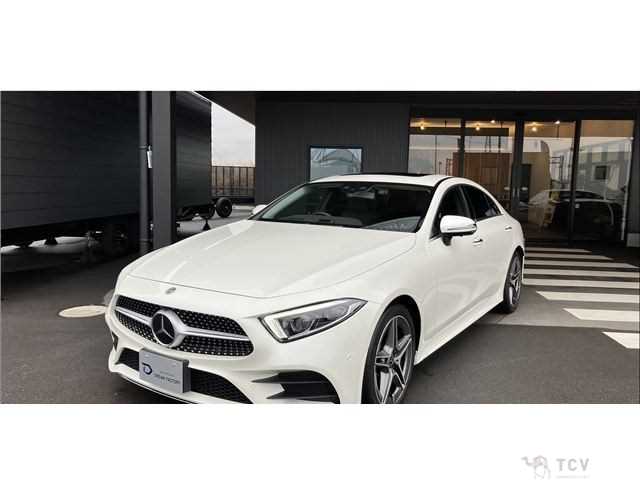 2019 Mercedes-Benz Cls-Class