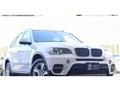 2013 BMW X5