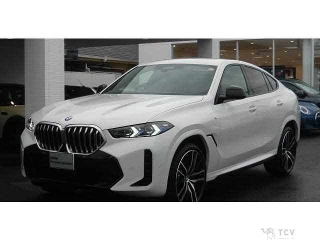 2025 BMW X6
