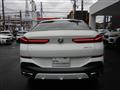 2025 BMW X6