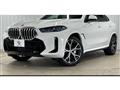 2023 BMW X6