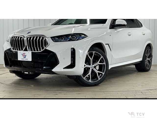 2023 BMW X6