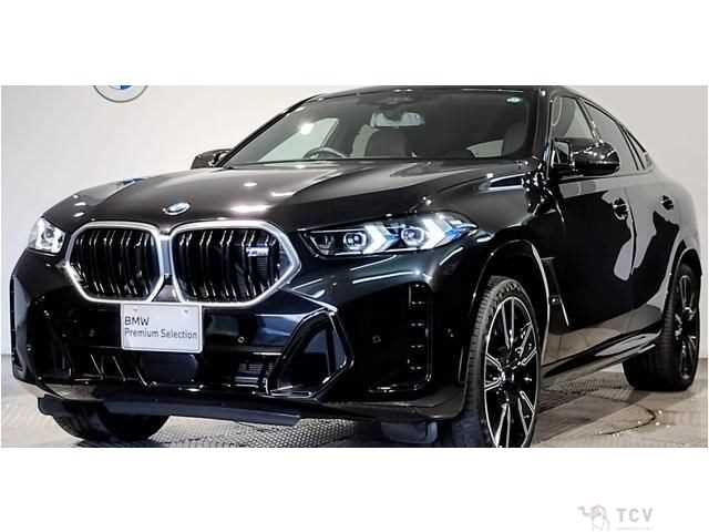 2023 BMW X6