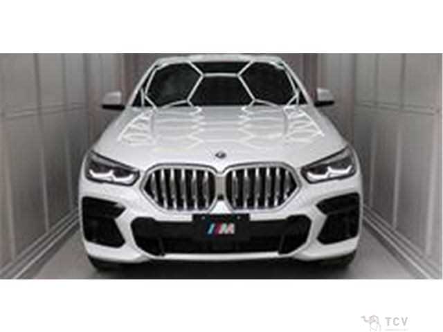2022 BMW X6