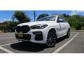 2020 BMW X6