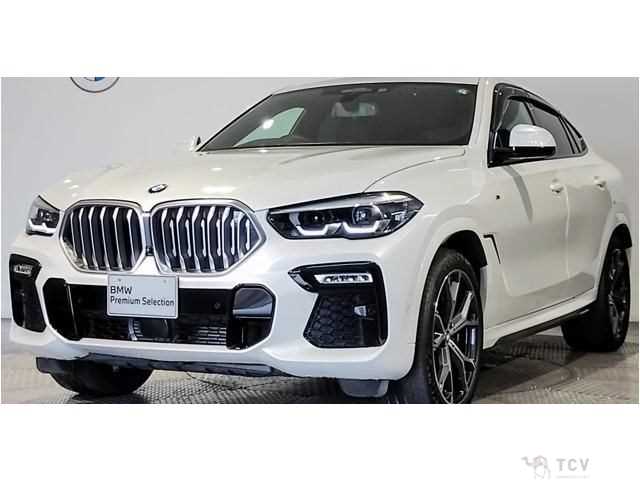 2020 BMW X6
