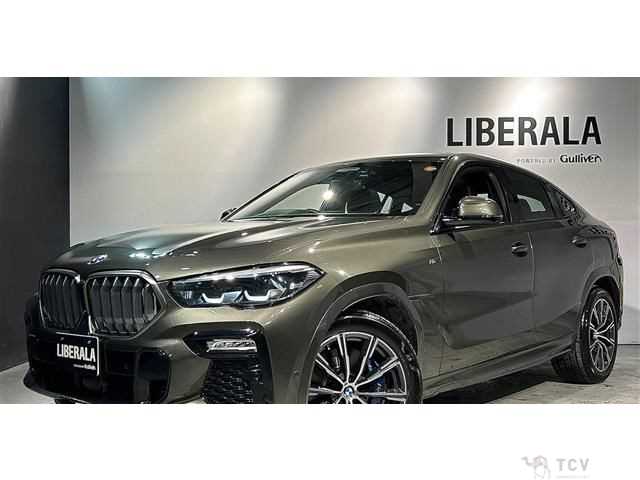 2020 BMW X6