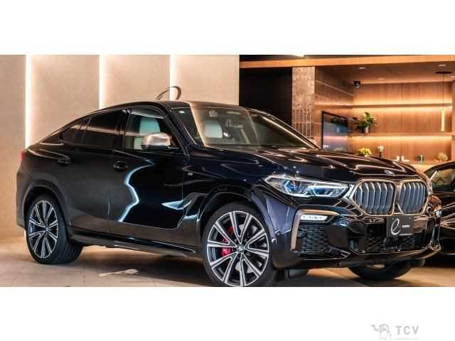 2020 BMW X6