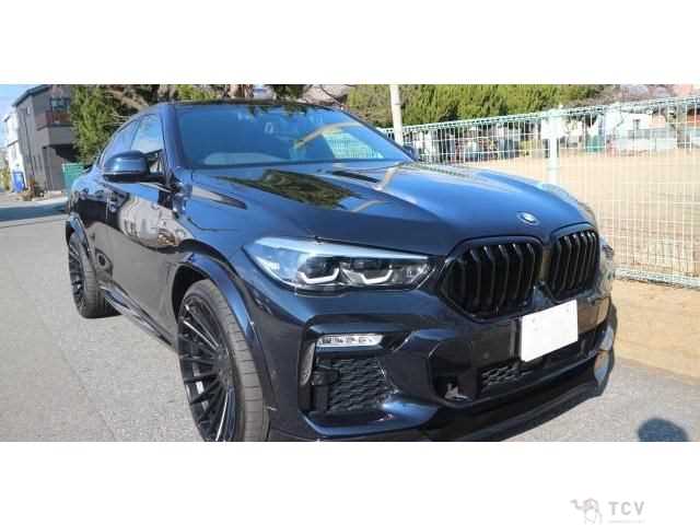 2020 BMW X6