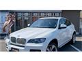 2009 BMW X6