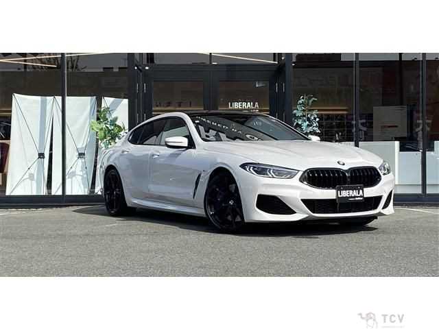 2019 BMW 8 Series