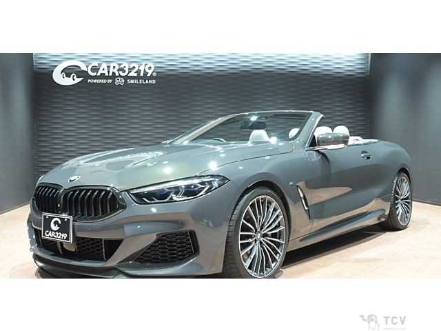 2019 BMW 8 Series