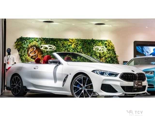 2019 BMW 8 Series