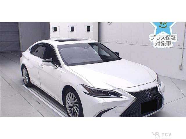 2020 Lexus ES