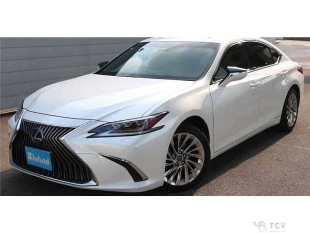 2020 Lexus ES