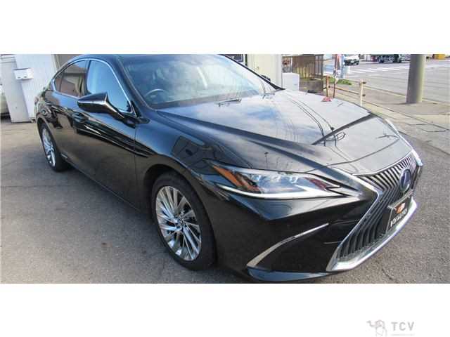 2020 Lexus ES