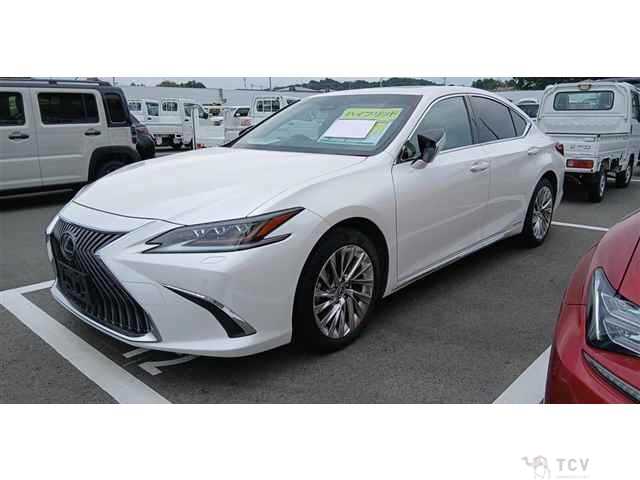 2020 Lexus ES