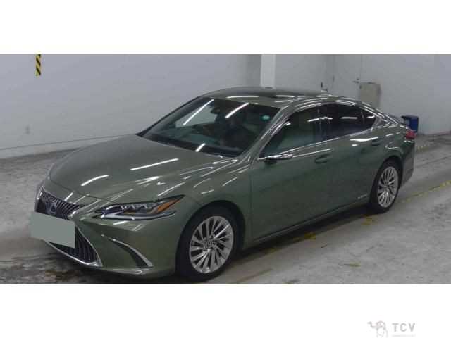 2019 Lexus ES