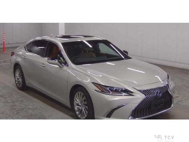 2019 Lexus ES