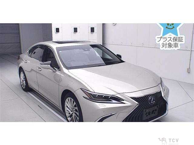 2019 Lexus ES