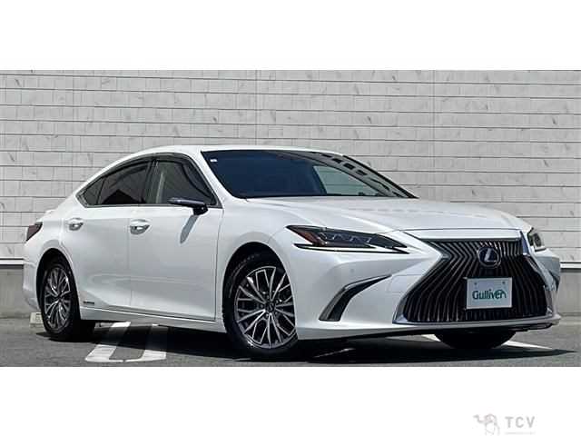 2019 Lexus ES