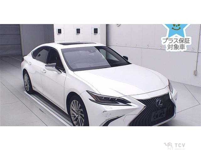 2019 Lexus ES
