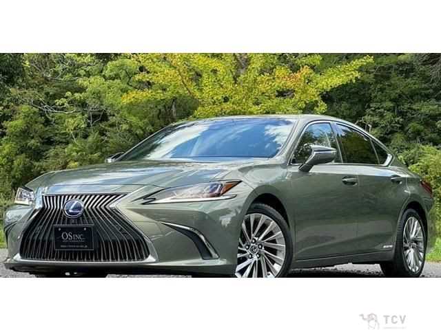2019 Lexus ES