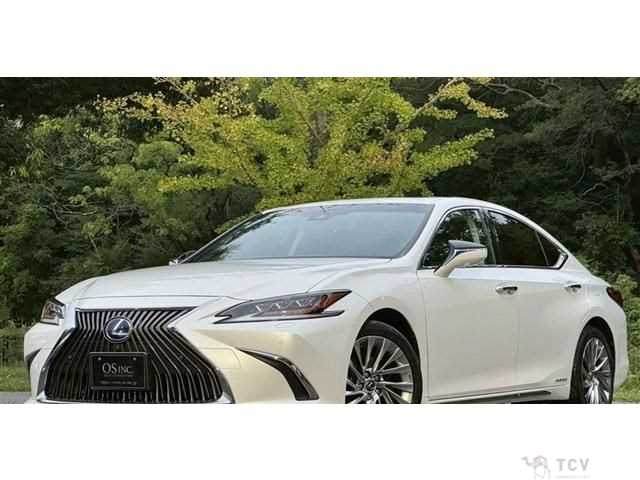 2019 Lexus ES